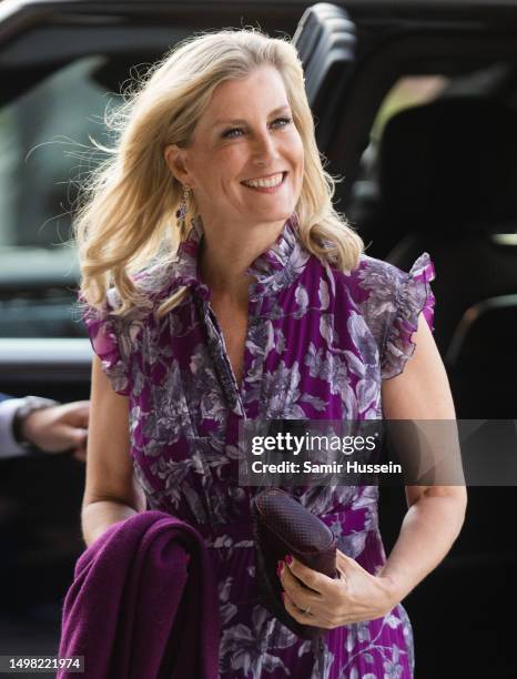 Sophie, Duchess of Edinburgh attends a private screening of "Rhino Man", hosted by United For Wildlife at Battersea Power station on June 13, 2023 in...