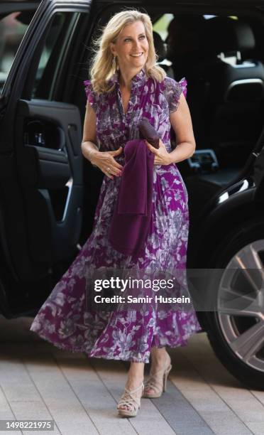 Sophie, Duchess of Edinburgh attends a private screening of "Rhino Man", hosted by United For Wildlife at Battersea Power station on June 13, 2023 in...