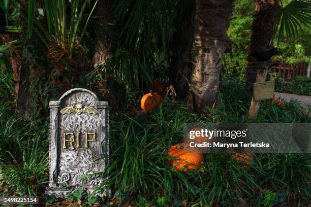 decor in the park for halloween. halloween street decor. graves, headstones, skeletons and crosses. happy halloween. feast of the dead. - cemetery stock pictures, royalty-free photos & images