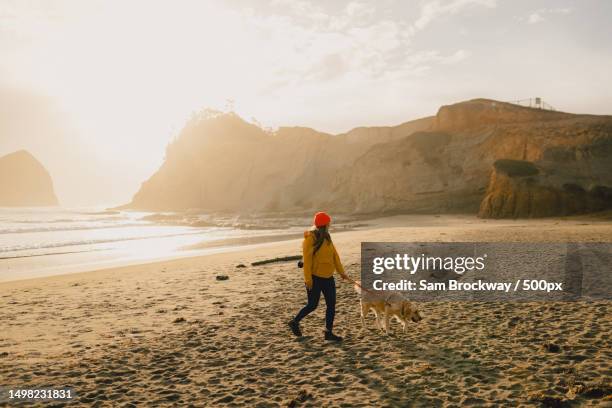 cape kiwanda - tillamook county stock-fotos und bilder