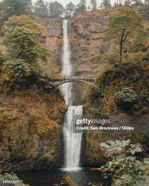 scenic view of waterfall and bridge with people in green forest - columbia gorge - fotografias e filmes do acervo