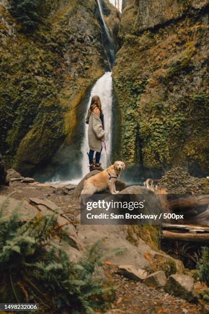 columbia river gorge - columbia gorge - fotografias e filmes do acervo