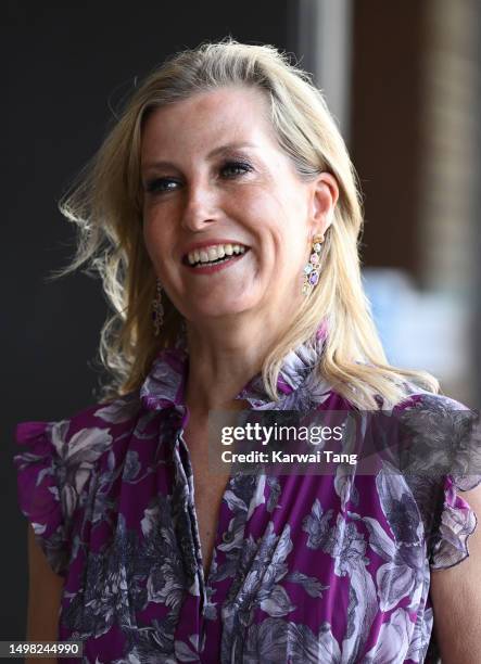 Sophie, Duchess of Edinburgh attends a private screening of "Rhino Man", hosted by United For Wildlife at Battersea Power station on June 13, 2023 in...