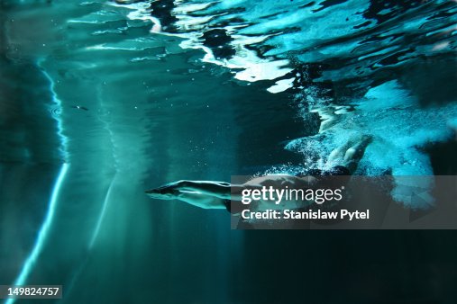 Man swimming underwater Man swimming underwater