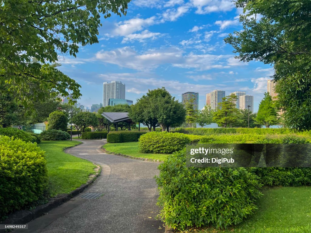 Winding walkway in the park