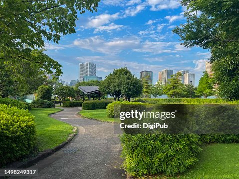 Winding walkway in the park