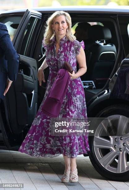 Sophie, Duchess of Edinburgh attends a private screening of "Rhino Man", hosted by United For Wildlife at Battersea Power station on June 13, 2023 in...