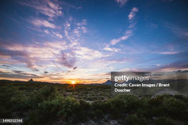 Desert Sunset Texas High Low Top Desert Sunset Texas High Low Top