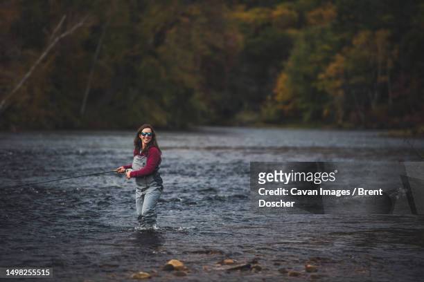 woman angler walking through water with fly rod and foliage - river androscoggin stock pictures, royalty-free photos & images
