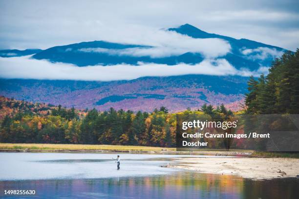 fly fisherman casting into river with mountain and bright foliage - river androscoggin stock pictures, royalty-free photos & images