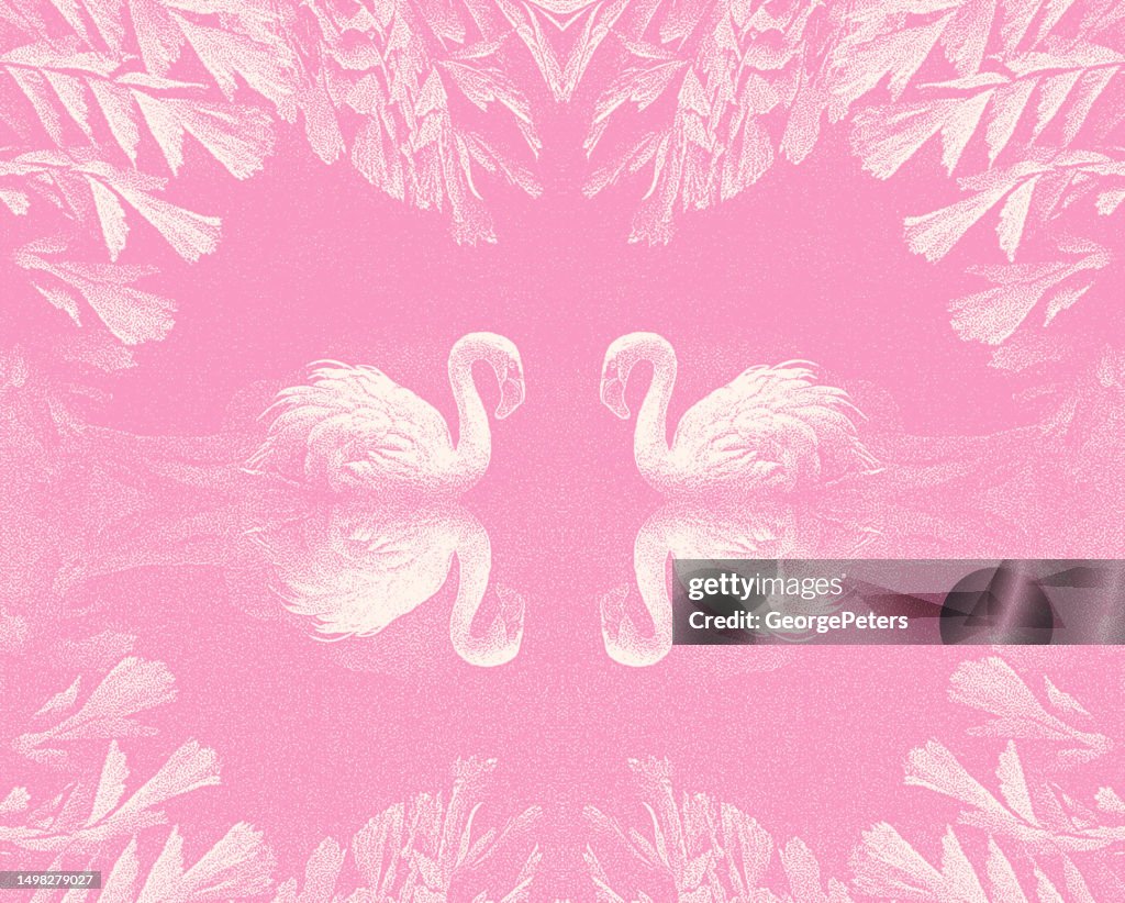 Two Flamingos