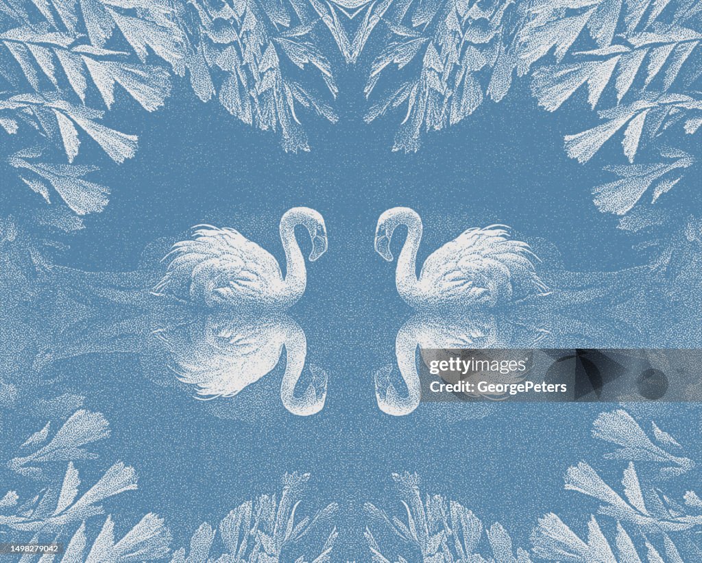 Two Flamingos
