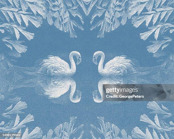 two flamingos - two animals stock illustrations