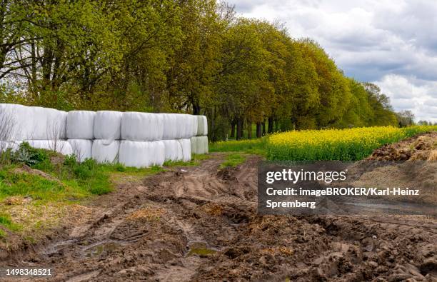 illustrazioni stock, clip art, cartoni animati e icone di tendenza di hay bales and dung heap on an agricultural field, berlin, germany - manure pile