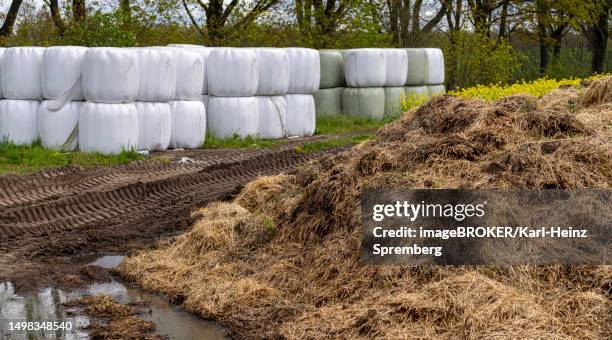 ilustrações de stock, clip art, desenhos animados e ícones de hay bales and dung heap on an agricultural field, berlin, germany - manure pile