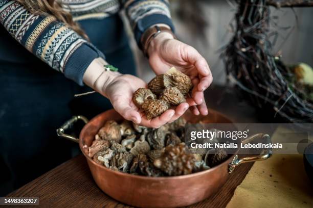 nature's exquisite harvest: woman displays chanterelle mushrooms with a copper basin - morel mushroom stock pictures, royalty-free photos & images