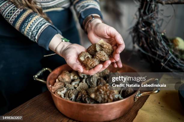 nature's exquisite harvest: woman displays chanterelle mushrooms with a copper basin - morel mushroom - fotografias e filmes do acervo