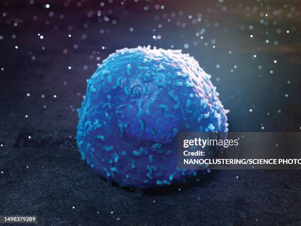lymphocyte, illustration - lymphozyten stock-fotos und bilder