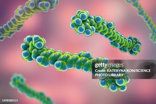 molecular model of beta-carotene, illustration - concentration stock illustrations