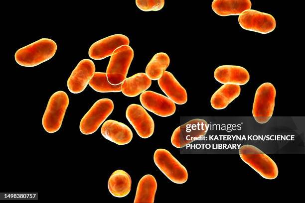 prevotella bacteria, illustration - anaerobic stock-grafiken, -clipart, -cartoons und -symbole