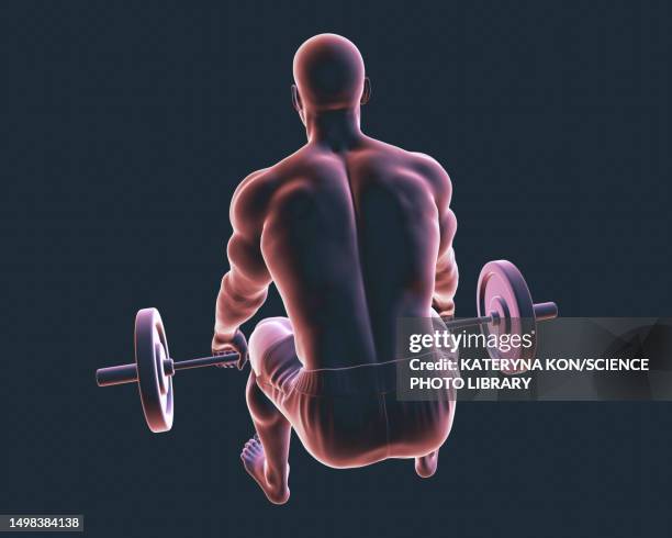 man lifting a barbell, illustration - dark studio stock illustrations