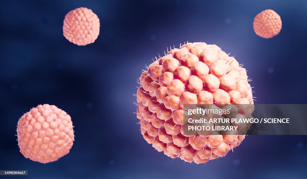 Chickenpox virus particles, illustration