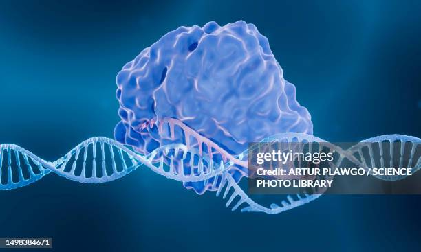 crispr-cas9, illustration - rna stock-grafiken, -clipart, -cartoons und -symbole