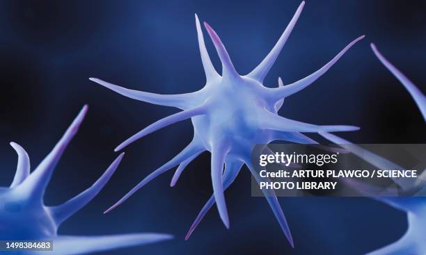 dendritic cells, illustration - phagocyte stock illustrations