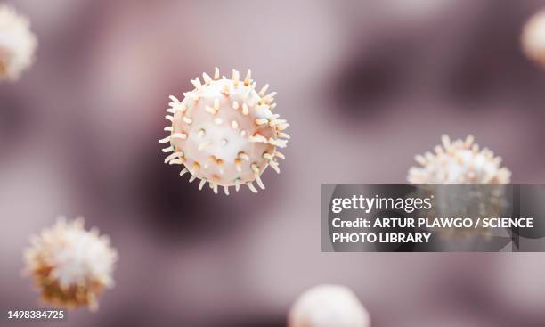 functionalised nanoparticles, illustration - liposome stock illustrations