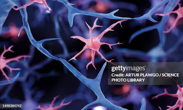 glial cell, illustration - autoimmune disease 幅插畫檔、美工圖案、卡通及圖標