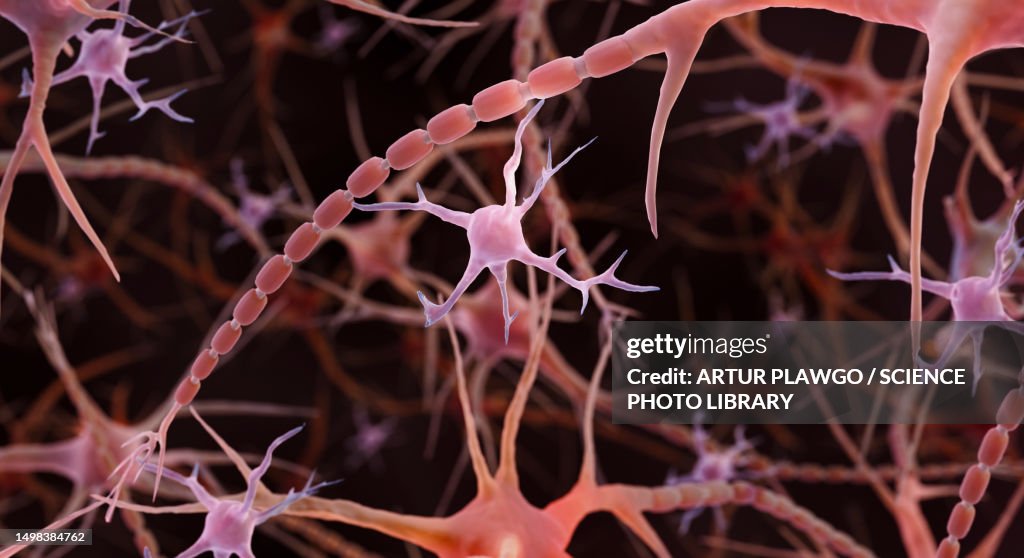 Microglia Illustration High-Res Vector Graphic - Getty Images
