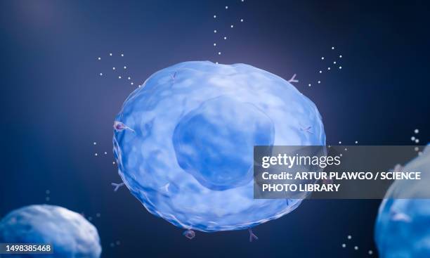 mast cell releasing histamine, illustration - autoimmunity stock-grafiken, -clipart, -cartoons und -symbole