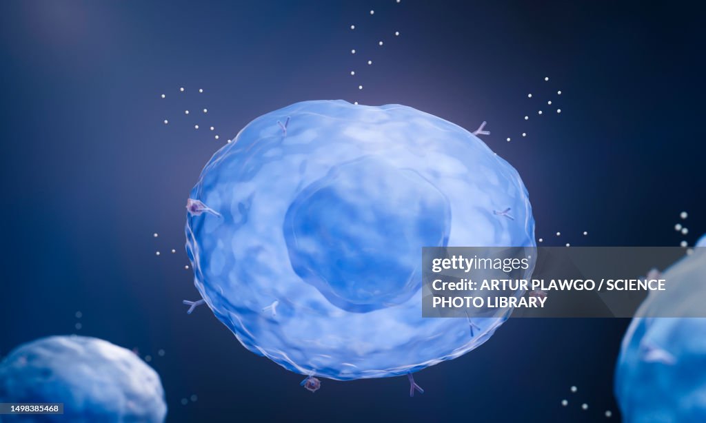 Mast cell releasing histamine, illustration