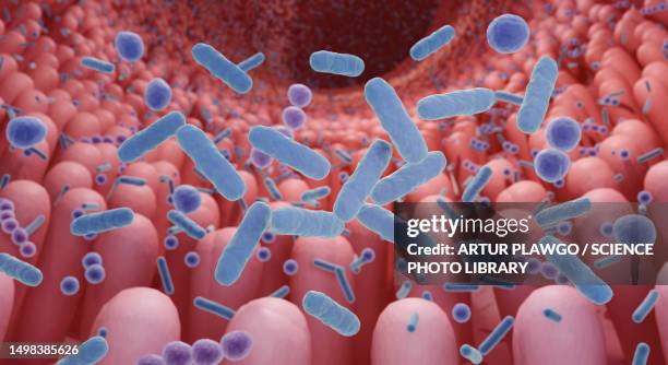 ilustrações de stock, clip art, desenhos animados e ícones de human microbiota, illustration - microrganismos