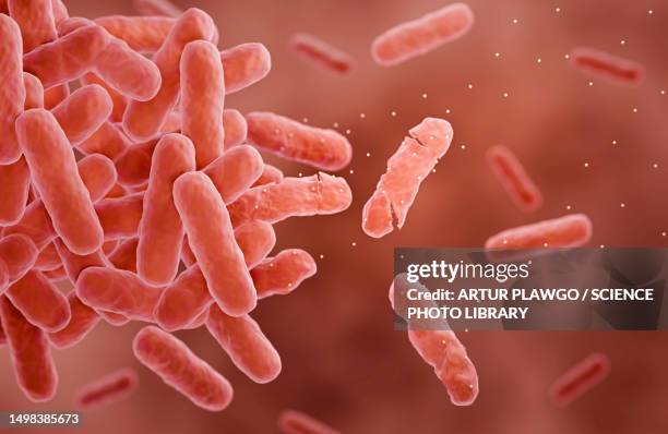 antibiotics attacking bacteria, illustration - penicillin stock illustrations