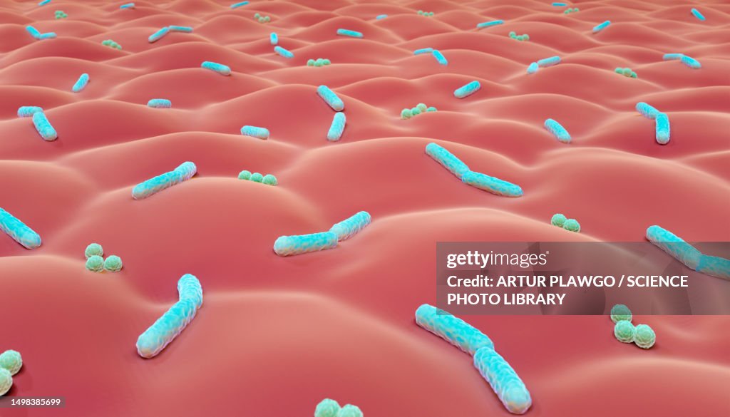 Human Rash Bacteria Bacteria On Skin Illustration High-Res Vector Graphic - Getty Images