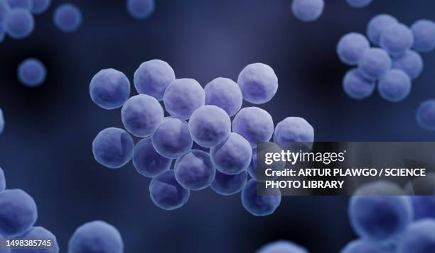 mrsa bacteria, illustration - mrsa stock illustrations