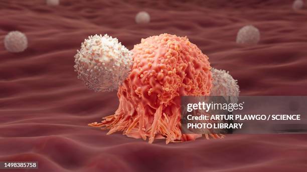 t-cells attacking a cancer cell, illustration - cancer illness stock illustrations