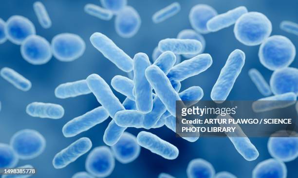 ilustraciones, imágenes clip art, dibujos animados e iconos de stock de probiotic bacteria, illustration - streptococcus