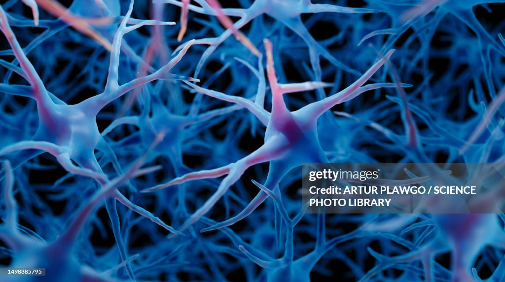 Brain cells, illustration