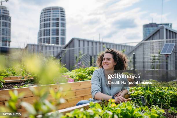 young woman resting in community garden. - urban garden stock pictures, royalty-free photos & images