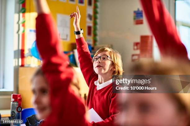 eager primary aged school boy with hand up, keen to answer question - school uk stock pictures, royalty-free photos & images