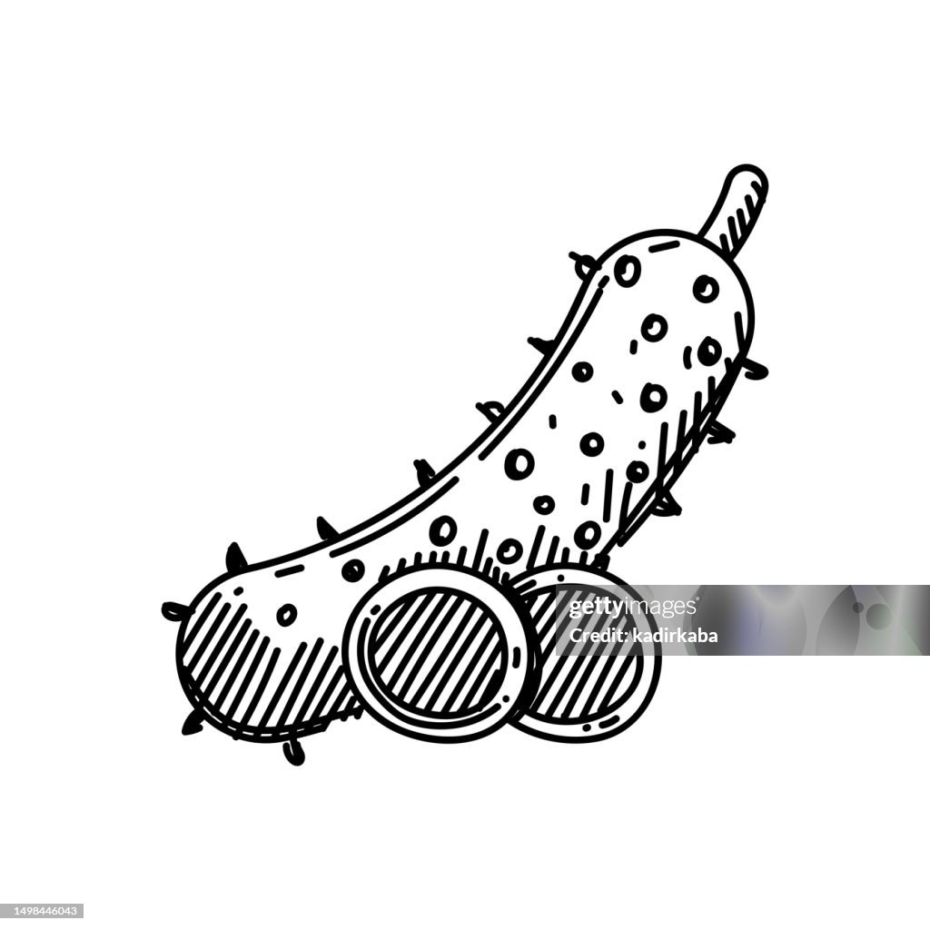 Cucumber Line icon, Sketch Design, Pixel perfect, Editable stroke. Logo, Sign, Symbol. Organic, Vegetable, Farming.