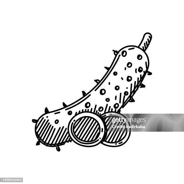 cucumber line icon, sketch design, pixel perfect, editable stroke. logo, sign, symbol. organic, vegetable, farming. - cucumber soup stock illustrations