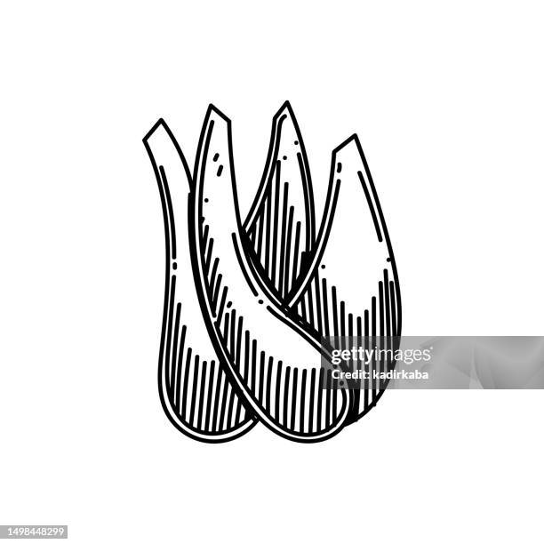 fennel line icon, sketch design, pixel perfect, editable stroke. logo, sign, symbol. vegetable, organic. - vegetable patch black stock illustrations