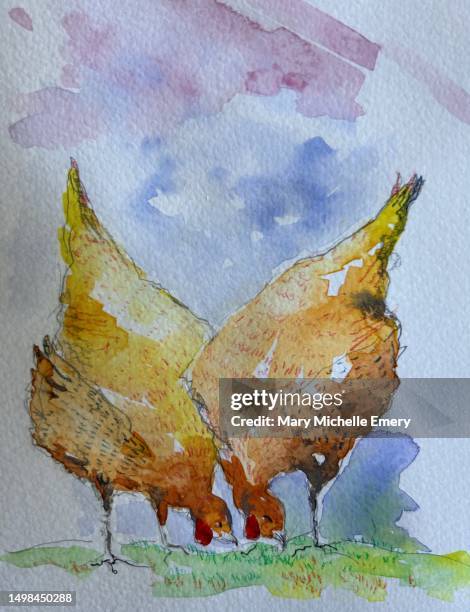 hens - free range stock illustrations