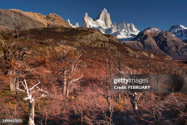 autumn fitz roy, argentina. - puerto natales stock pictures, royalty-free photos & images