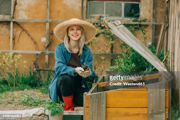 woman planting vegetable seedling in cold frame at garden - blank frame stockfoto's en -beelden