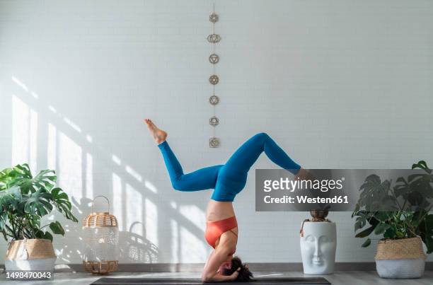 woman doing supported headstand pose in front of wall - shirshasana stock pictures, royalty-free photos & images