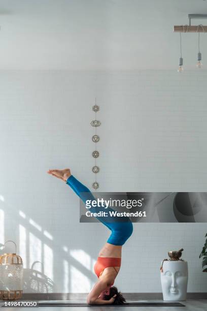 mature woman practicing yoga doing headstand - shirshasana stock pictures, royalty-free photos & images